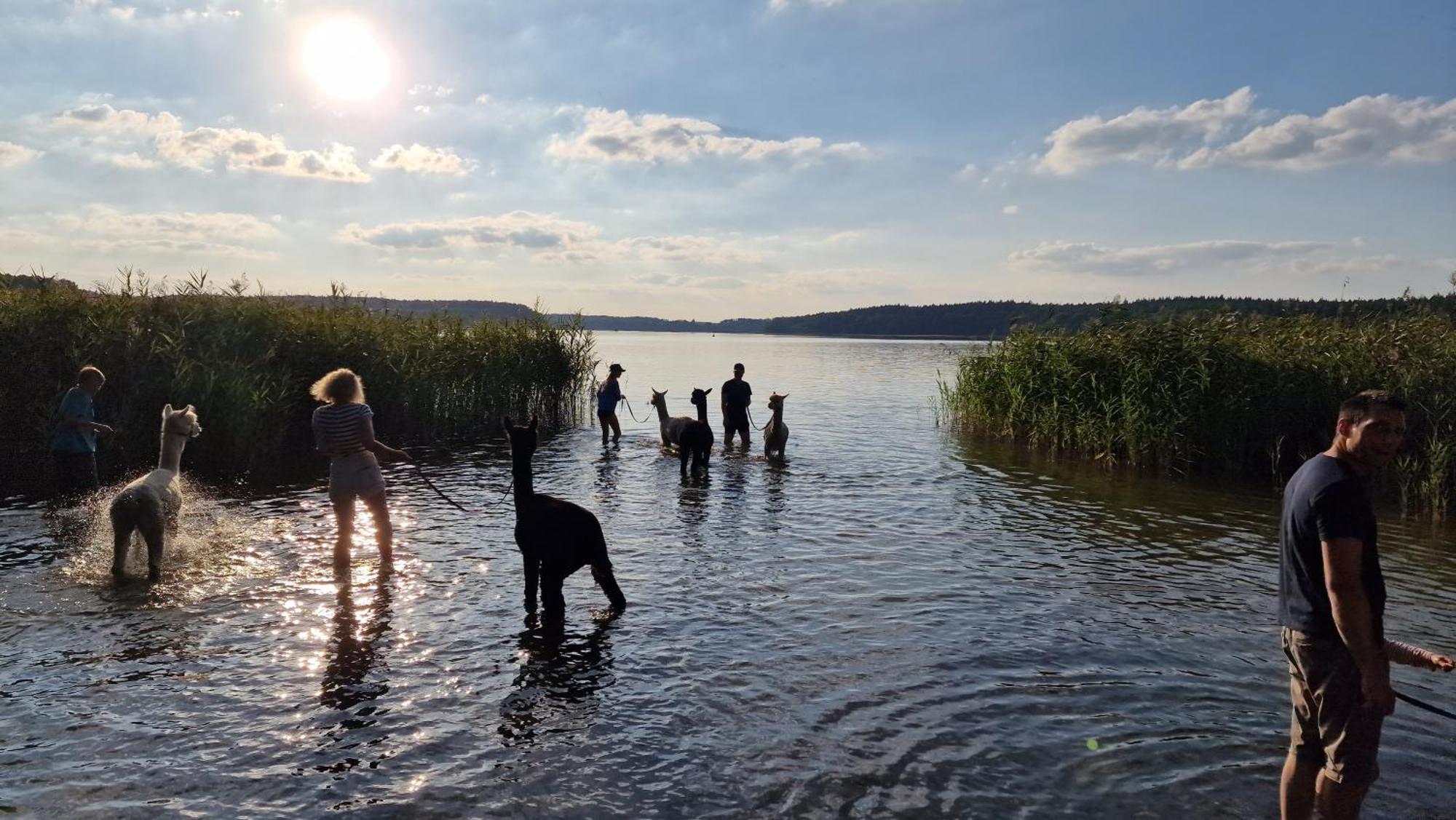 Ferienpark-Canow Kültér fotó