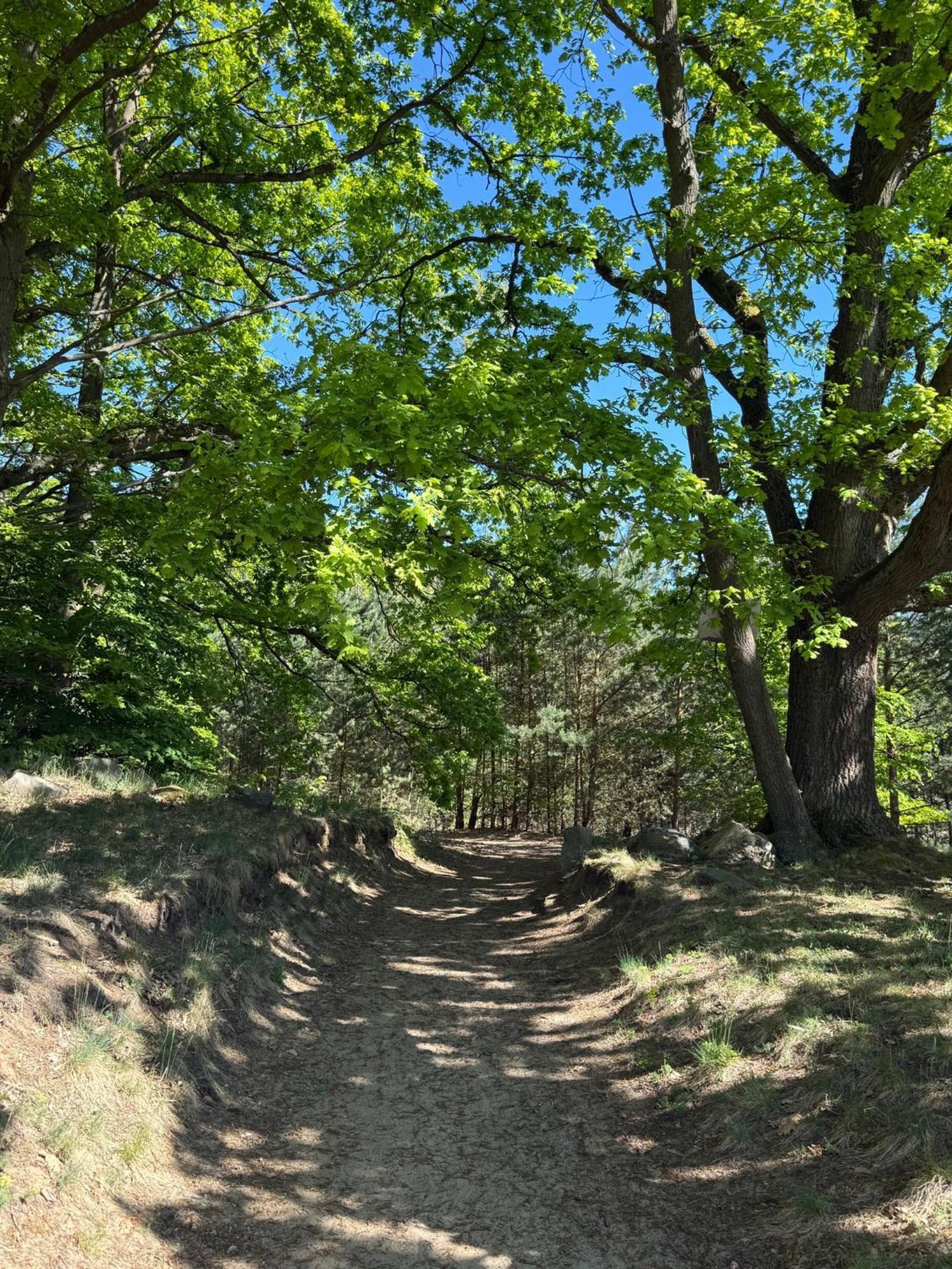 Ferienpark-Canow Kültér fotó