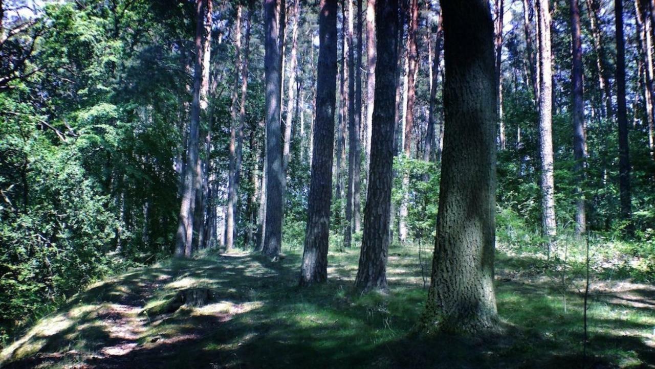 Ferienpark-Canow Kültér fotó